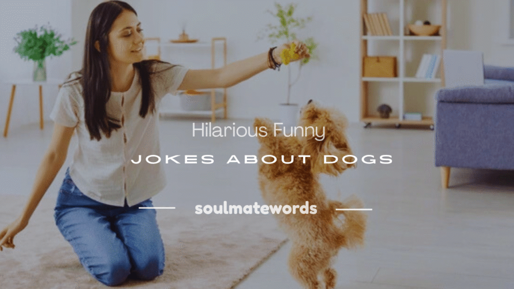 funny jokes about dogs
